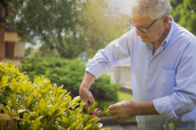 Bush Pruning in Honolulu, HI
